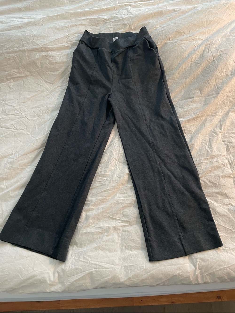 Encircled Dressy Ponte Pants | Charcoal | L